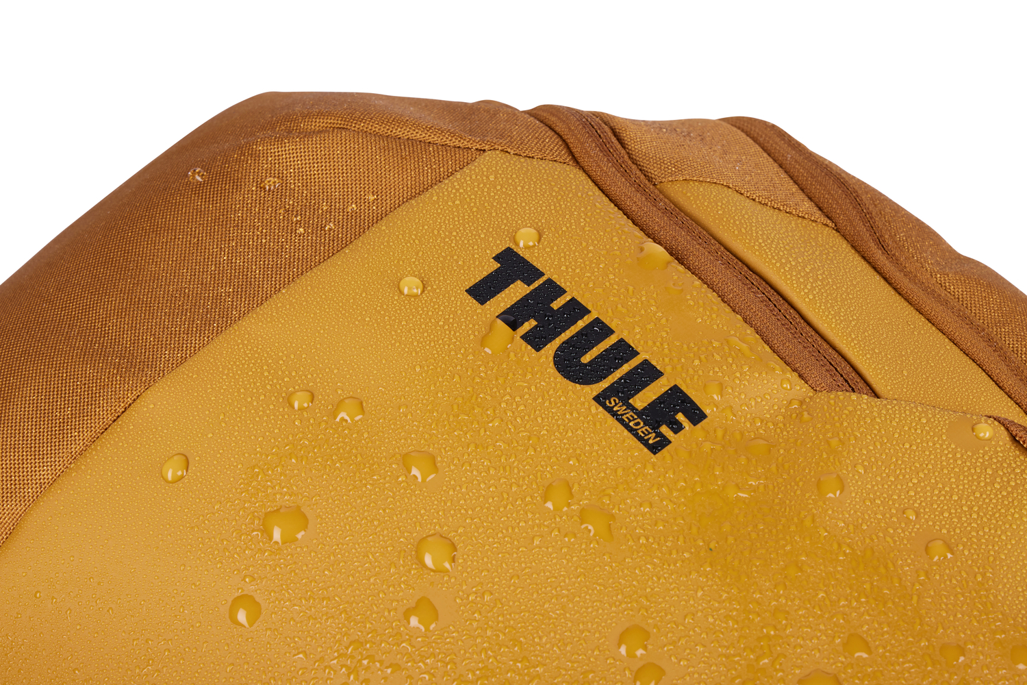 Thule Chasm ruksak za prijenosno računalo 26 L - zlatni