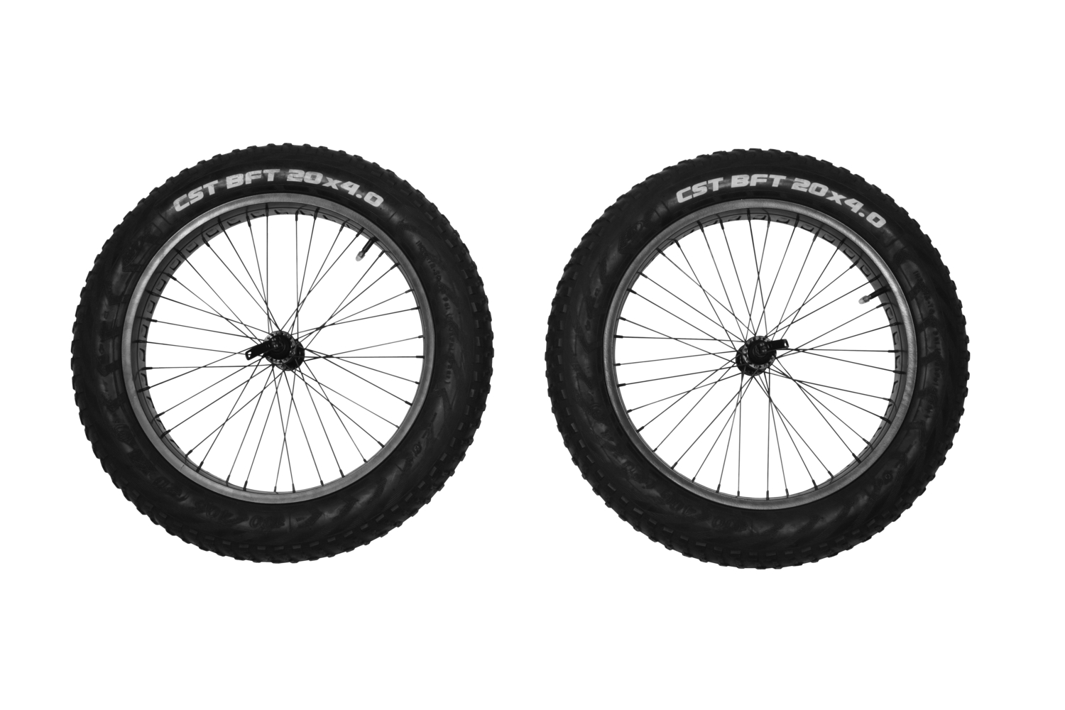 Reacha 20" fat tire wheel set set kotača za off-road prikolicu za bicikle Reacha 20" fat tire wheel set set kotača za off-road prikolicu za bicikle