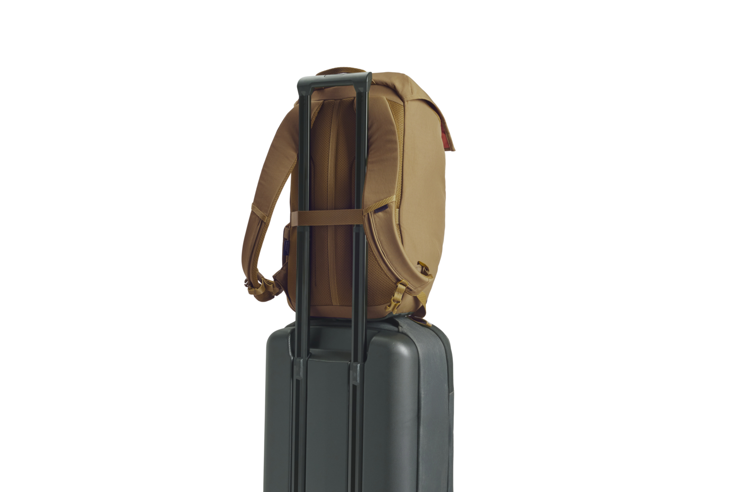 Thule Paramount lite 20L nutria univerzalni ruksak